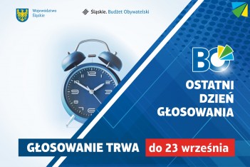 Ostatnie godziny głosowania. graf. UMWS 